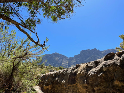 Ride In Bike Hire-斯泰伦博斯必去景点