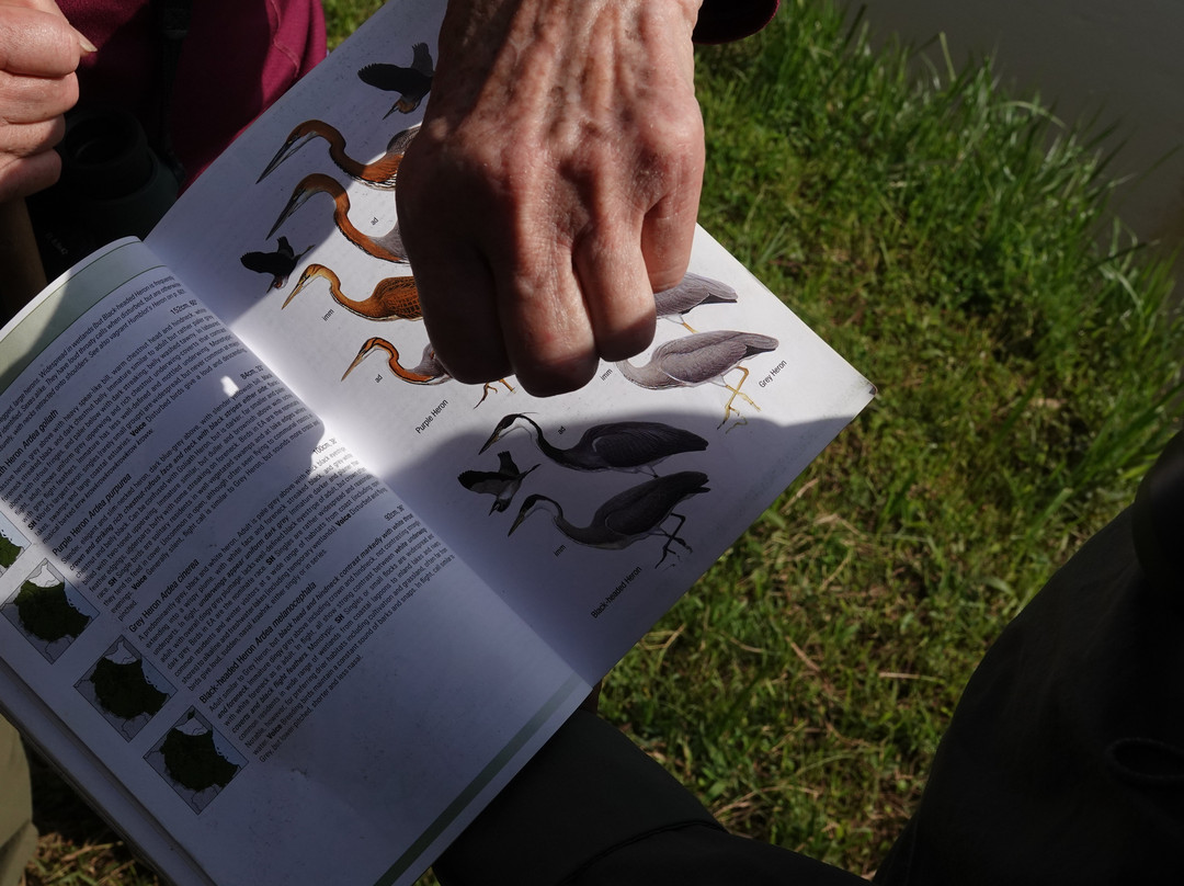 Beyond the Gorillas Experience-Ruhengeri必去景点