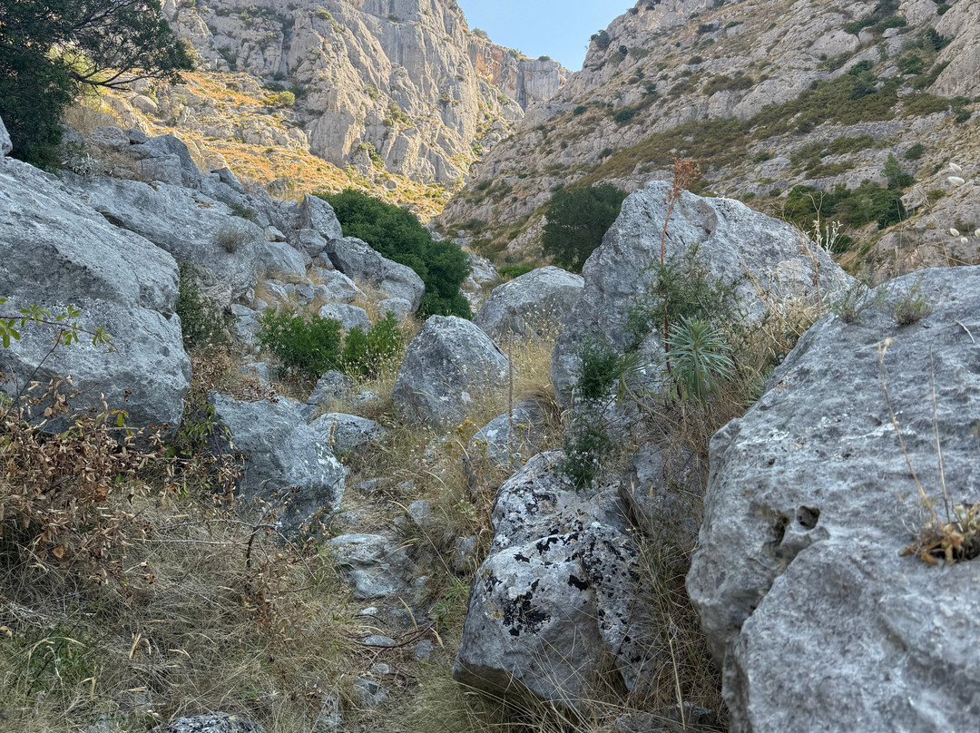 Santuario Madonna di Lourdes-Pulsano必去景点