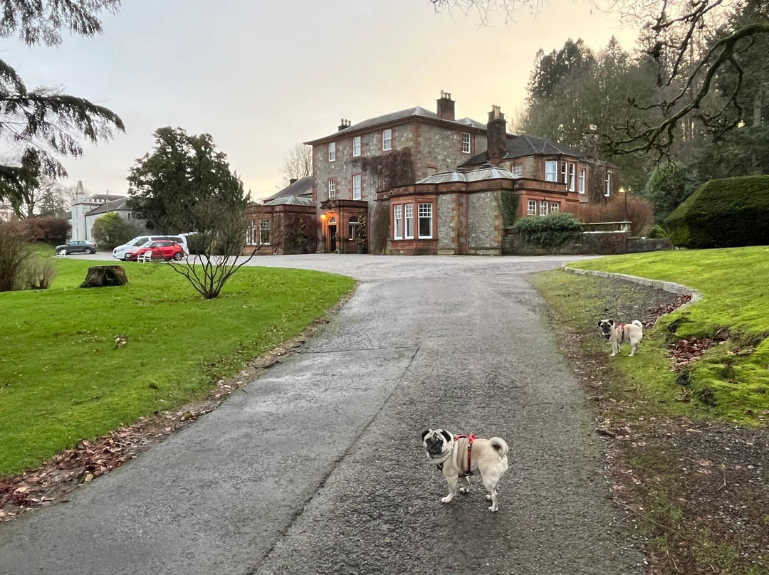 Mabie House Hotel主图