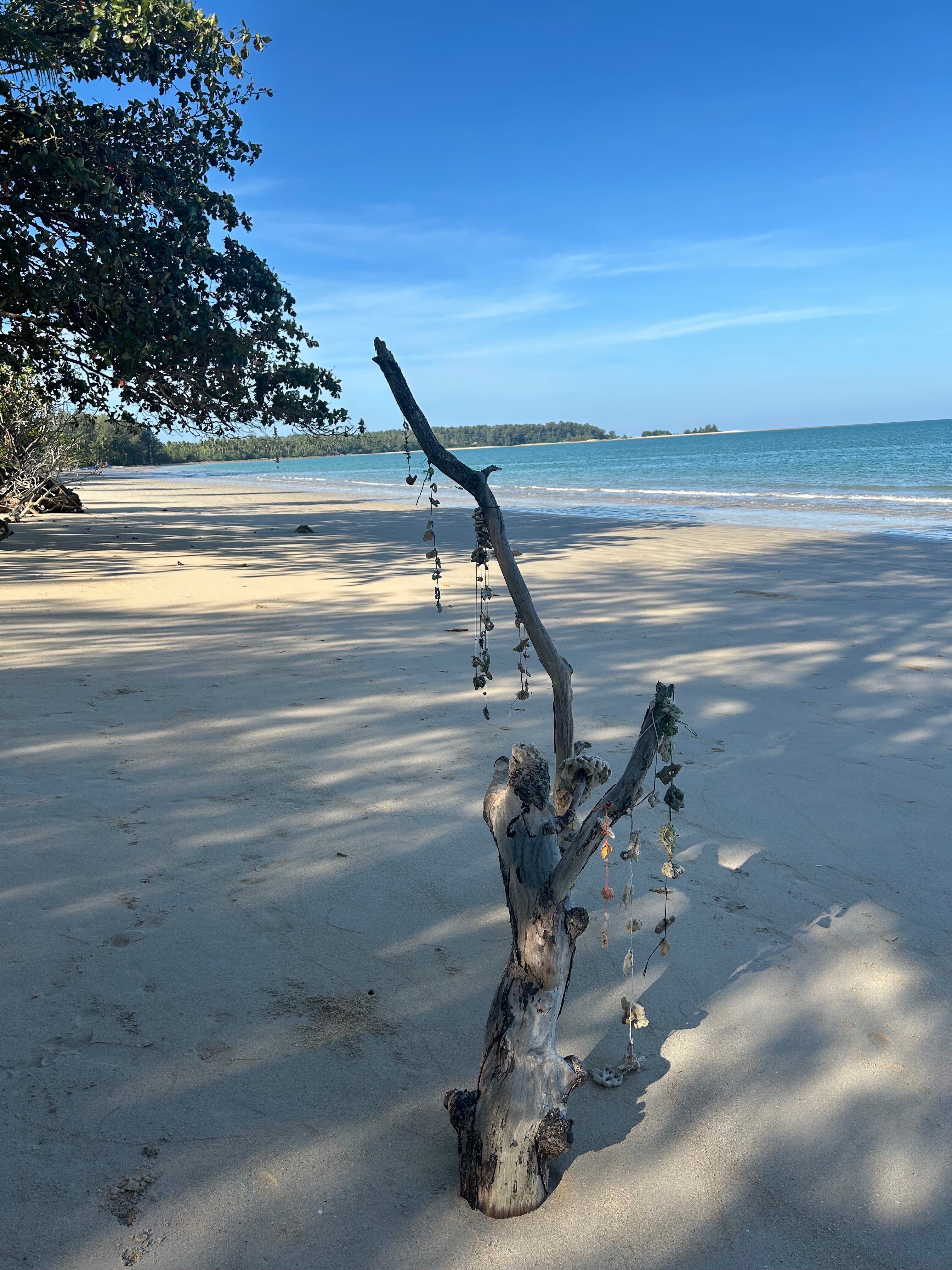 萨罗晋酒店-泳池