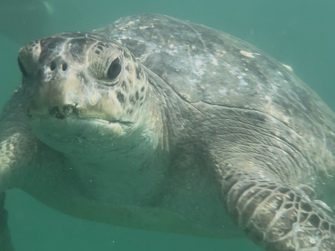 Alagua-Organos必去景点