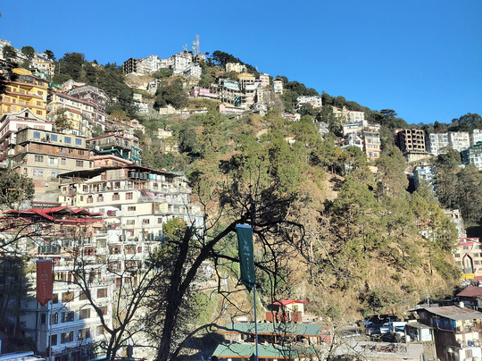 8fold  By Larisa, Shimla主图