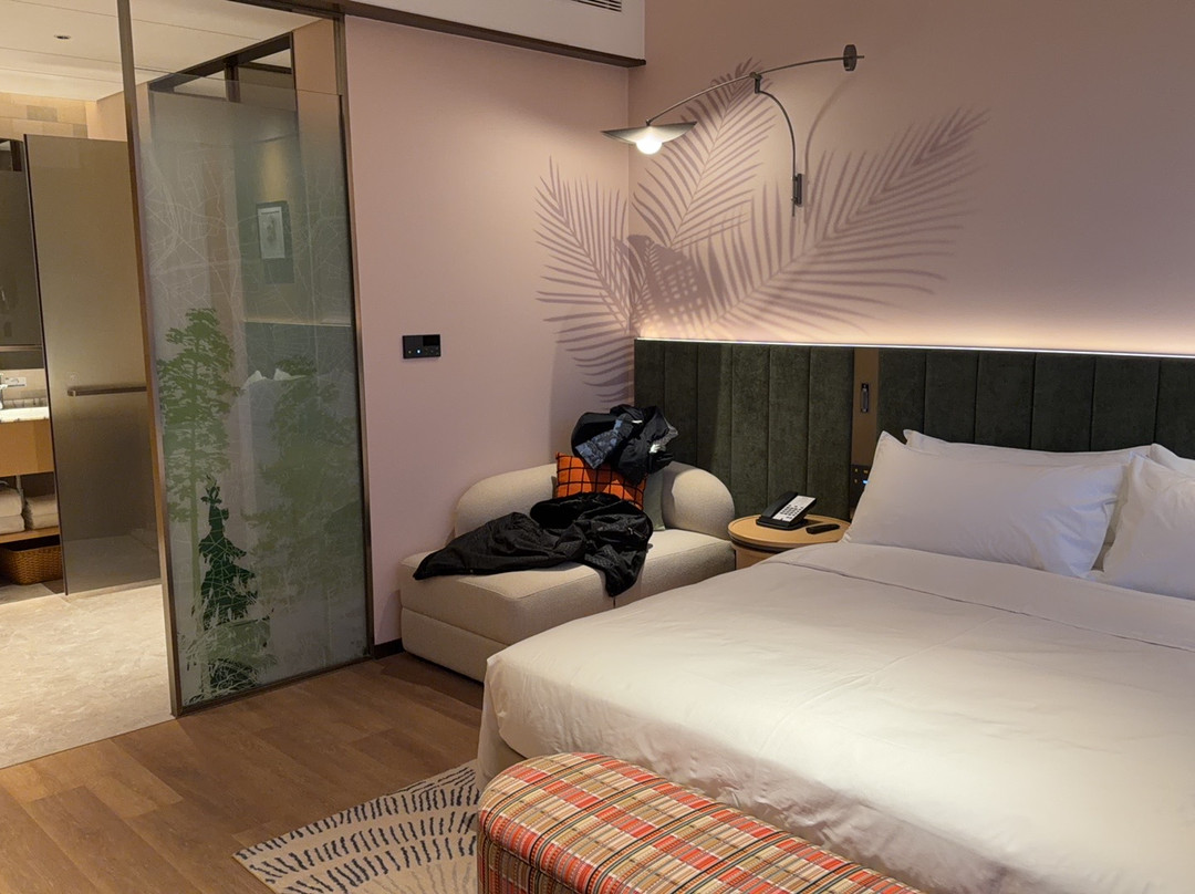 松原宁江希尔顿花园酒店