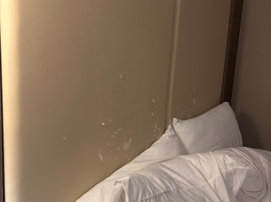 Holiday Inn Express & Suites Williams By IHG主图