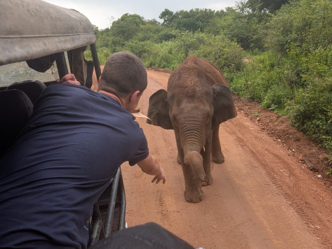 Travel Now Sri Lanka-科伦坡必去景点