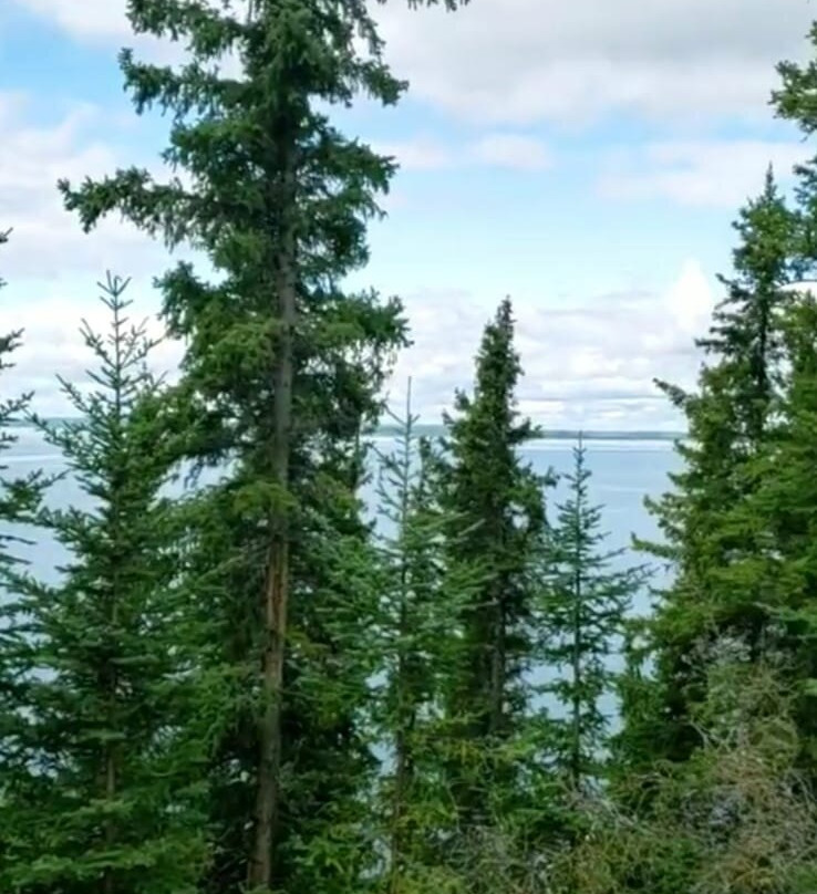 Prince Albert National Park-Waskesiu Lake必去景点
