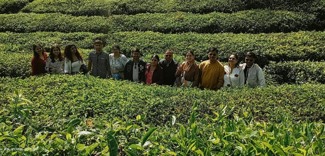 Keralacochinmunnartaxi Rentals-Kalady必去景点