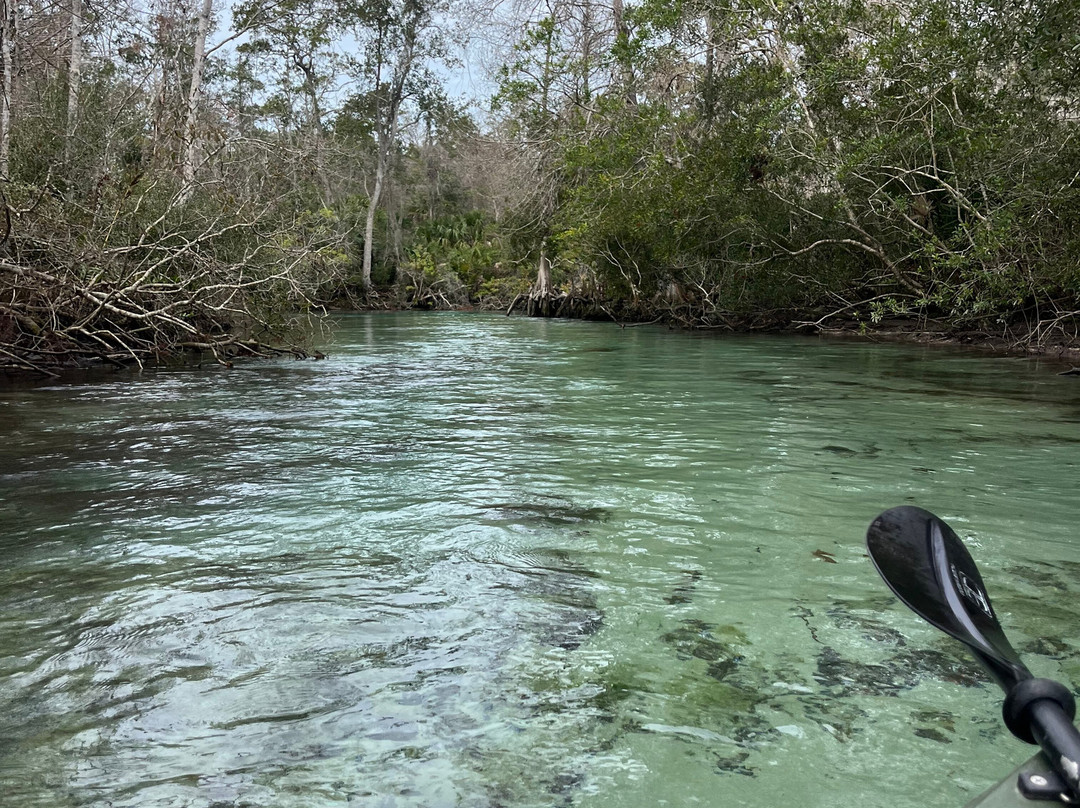 Weeki Wachee Kayaking-Weeki Wachee必去景点