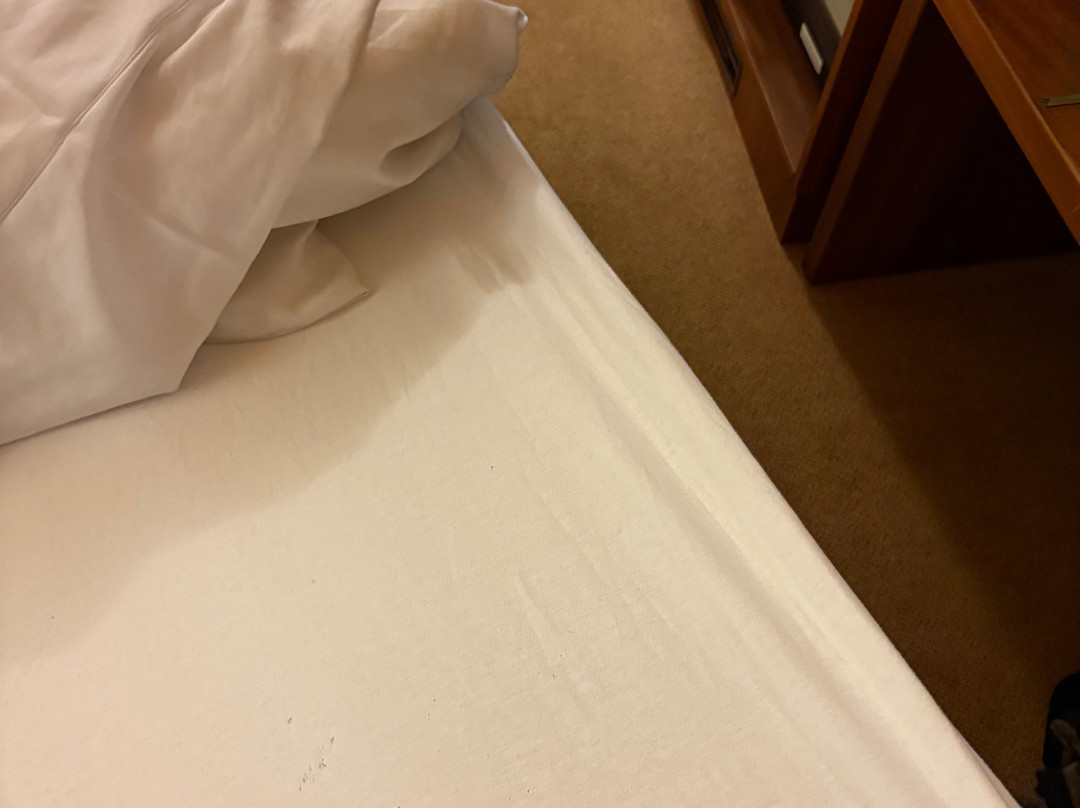 荷查姆公寓主图
