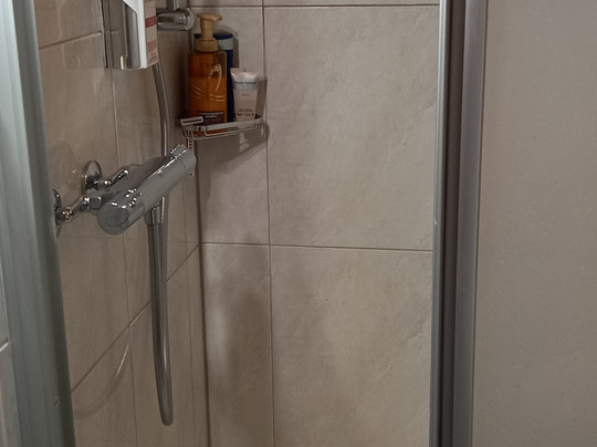 Die Kuh am See主图