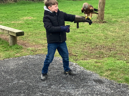 The British Bird of Prey Centre-喀麦登必去景点