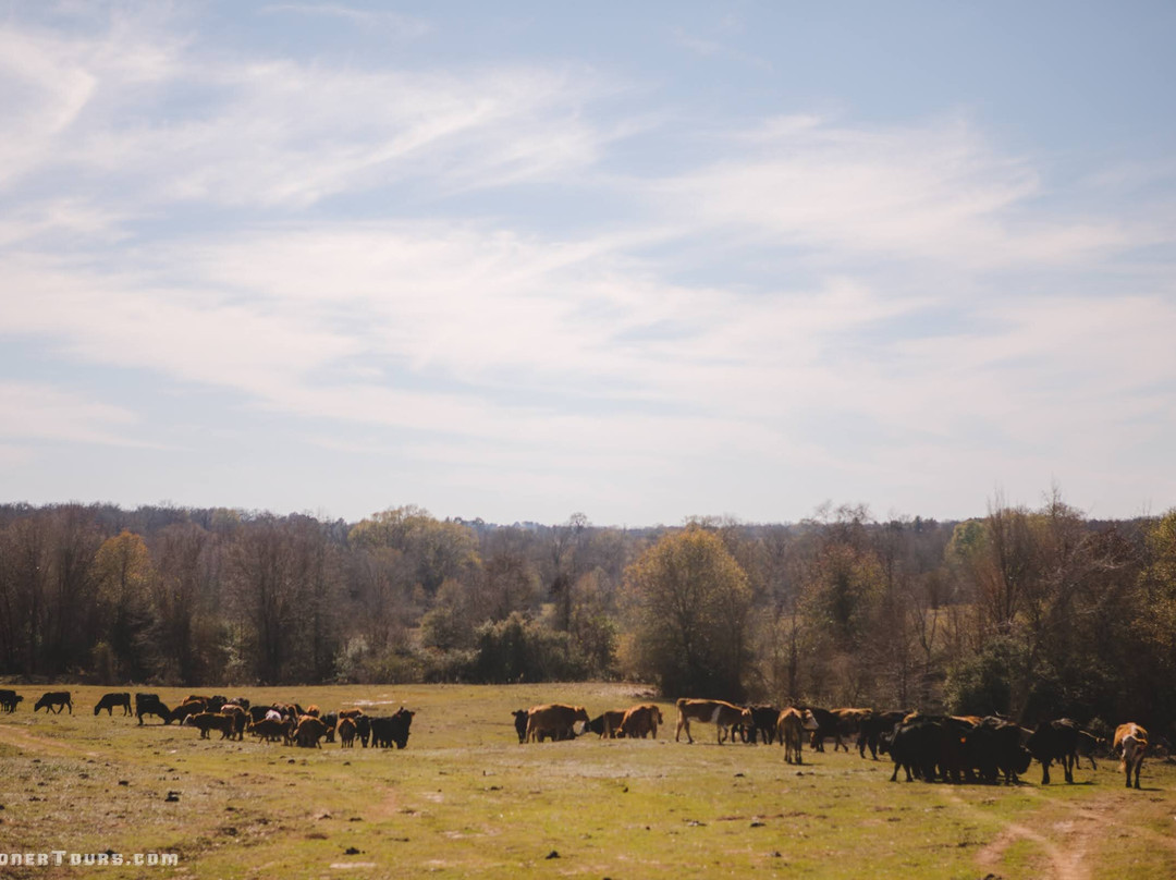 Gardner Tours-哈瓦那必去景点