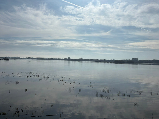 ON Acebuchal 23主图