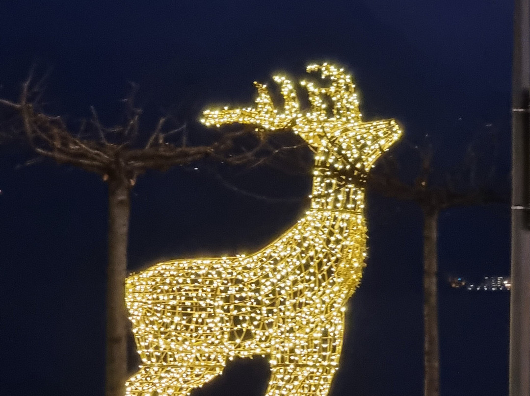 Hotel Zurigo Downtown主图