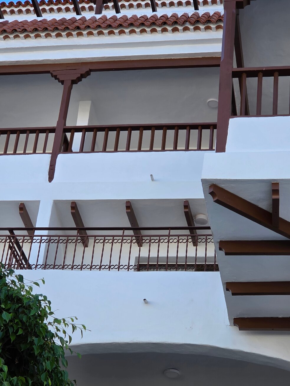 Coral Los Alisios-官方