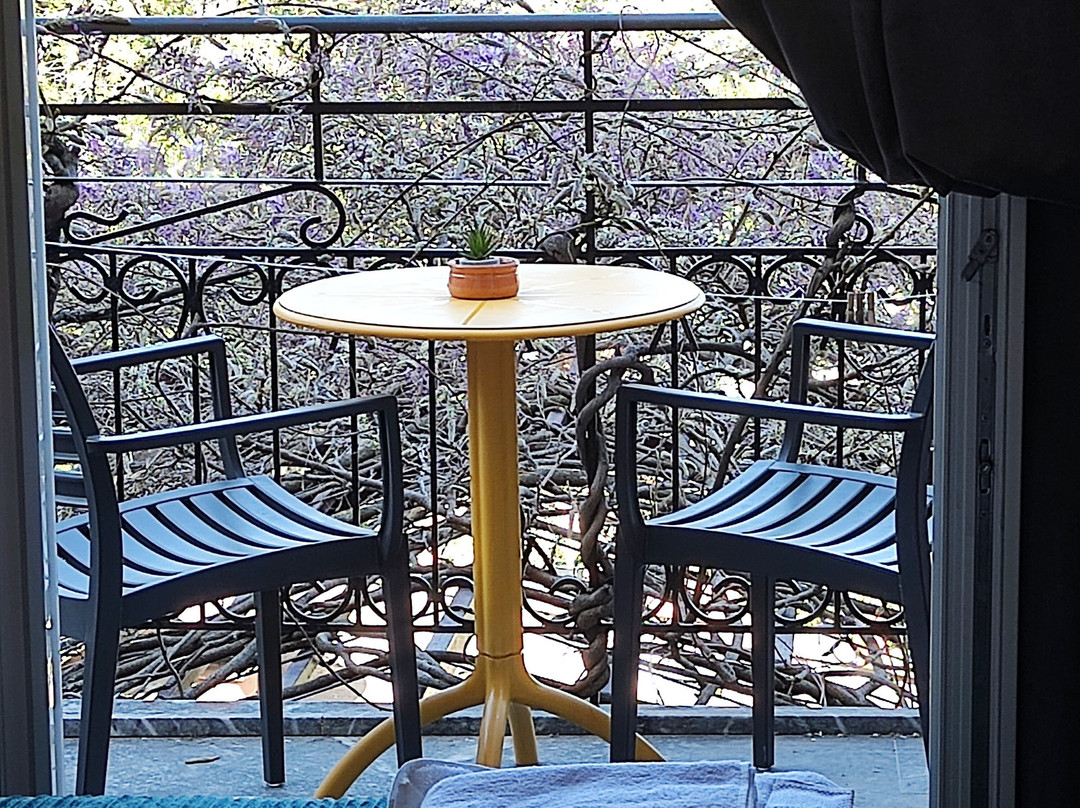 Iris Villa Hotel主图