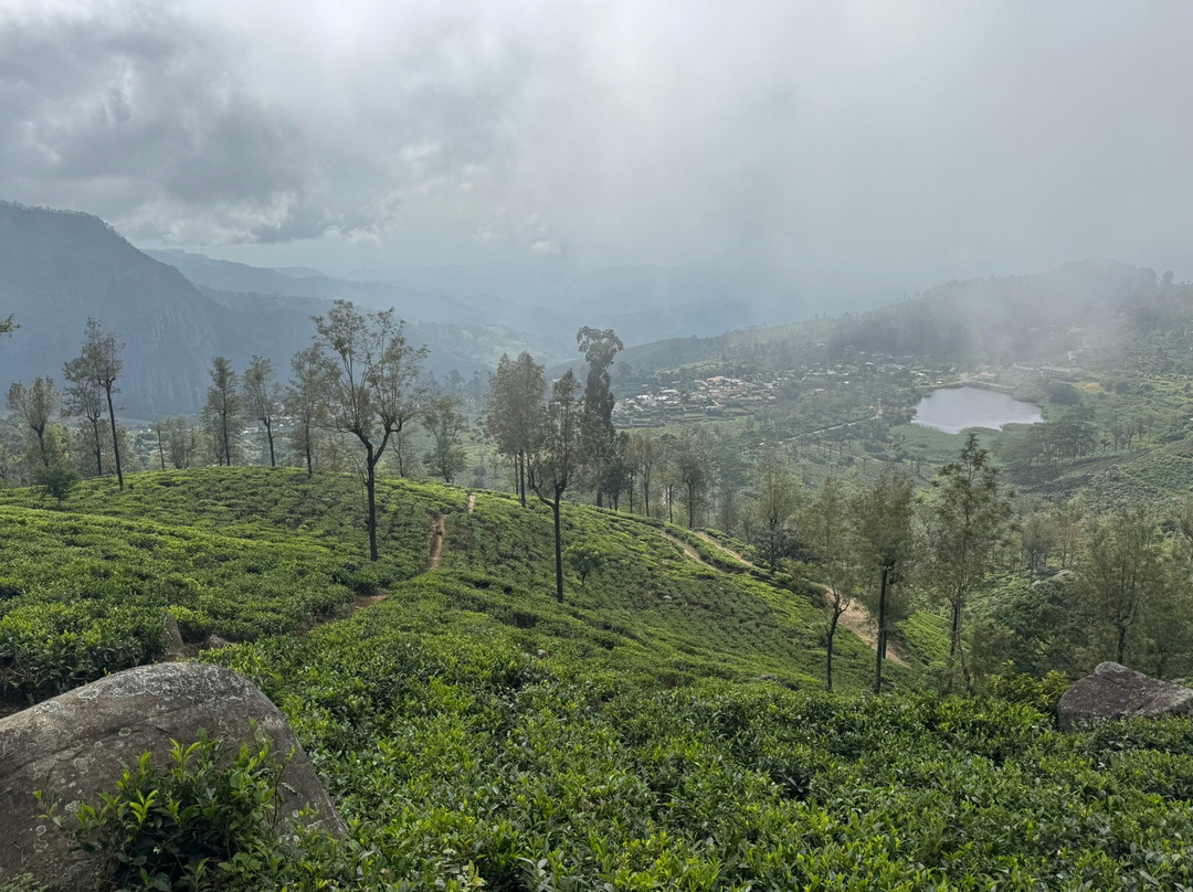 Paradise Island Safari-Gampola必去景点