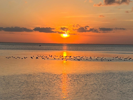 Laguna Madre Nature Trail-南帕诸岛必去景点