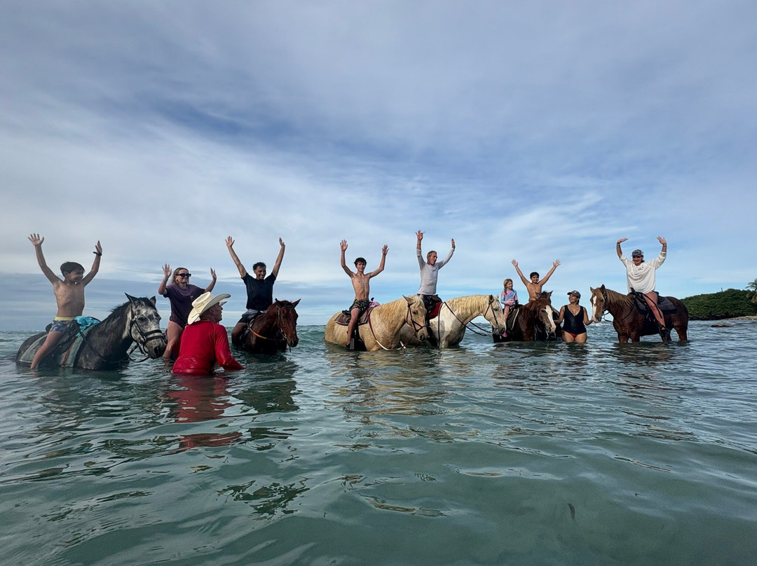 Equus Rides Horseback Riding St. Croix-Frederiksted必去景点