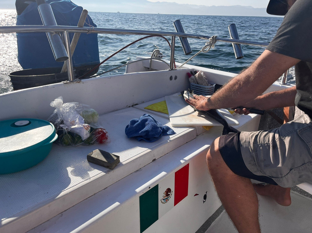 Fishing Rebels-瓦拉塔港必去景点