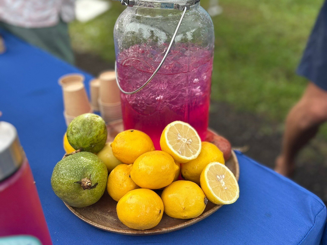 Hanalei Farmer’s Market-哈纳雷伊必去景点