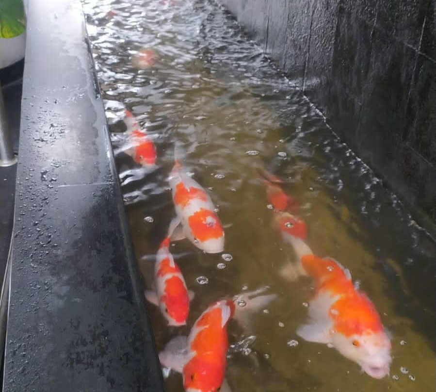 Swiss-belinn Ska Pekanbaru主图