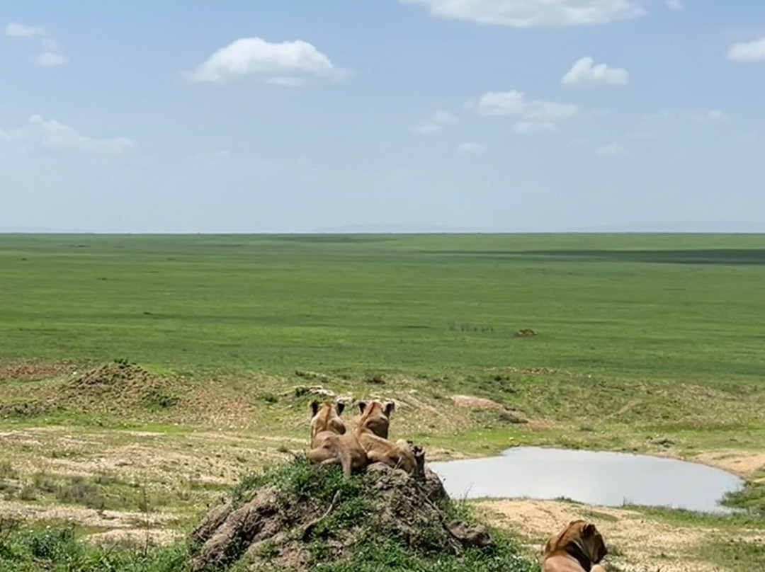 Passionate Safaris-Dar es Salaam必去景点