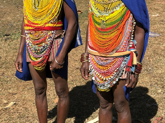 Alternative Tours-布巴内斯瓦尔必去景点