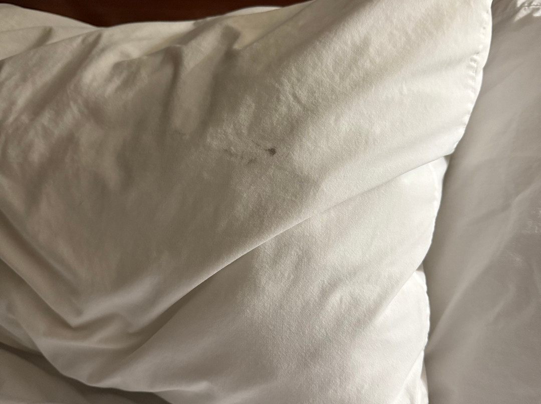 贝克利Travelodge by Wyndham酒店主图