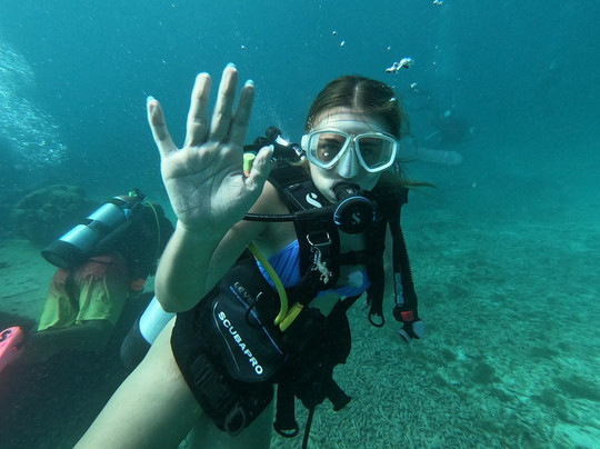 Palm Beach Divers-Noord必去景点