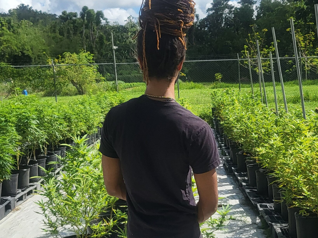 Jacana Farm Tours-奥乔里奥斯必去景点