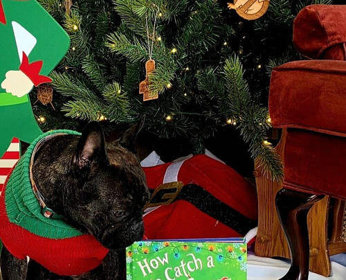 The Shire Bookstore-Eddyville必去景点