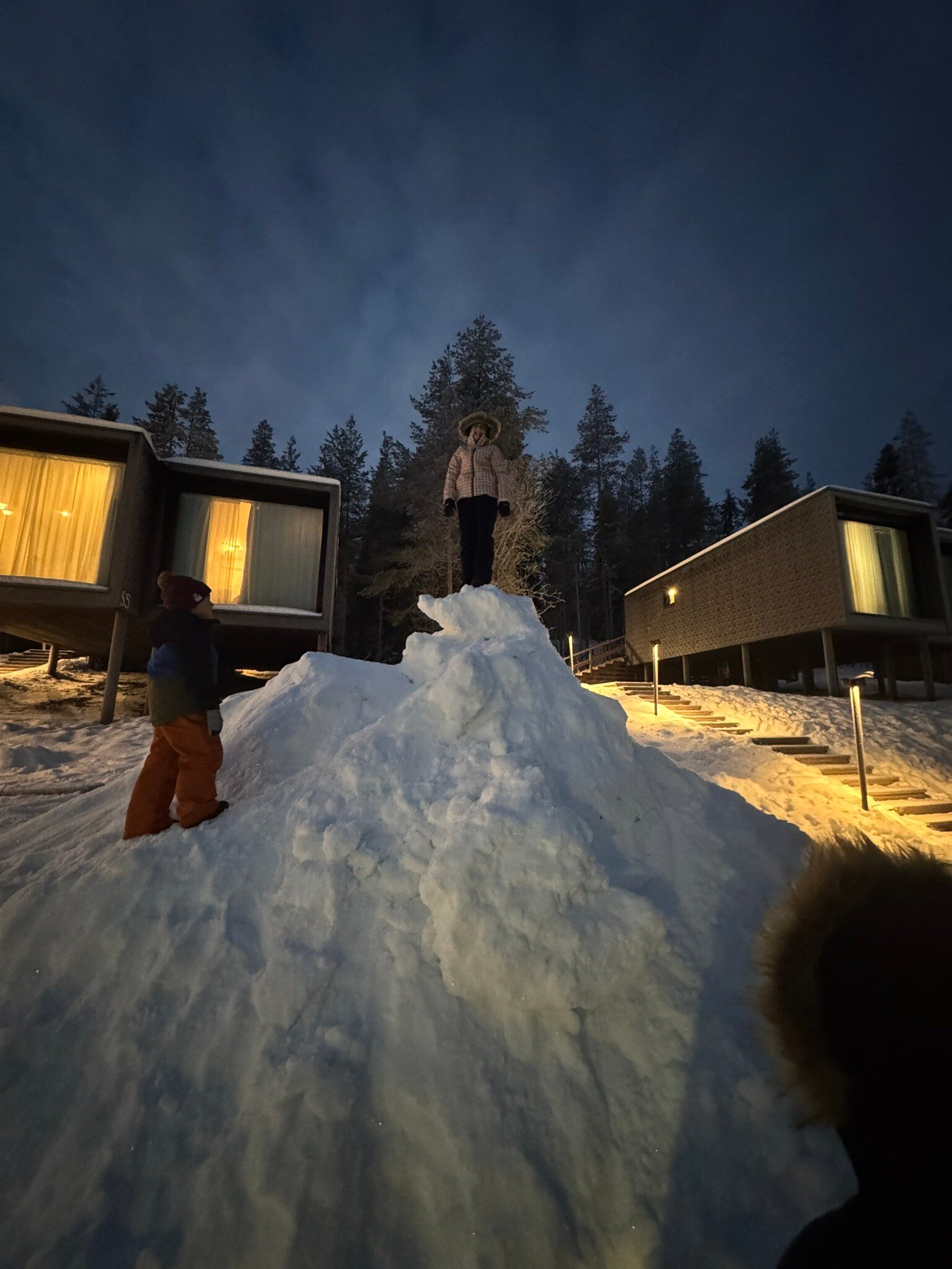北极树屋酒店-官方