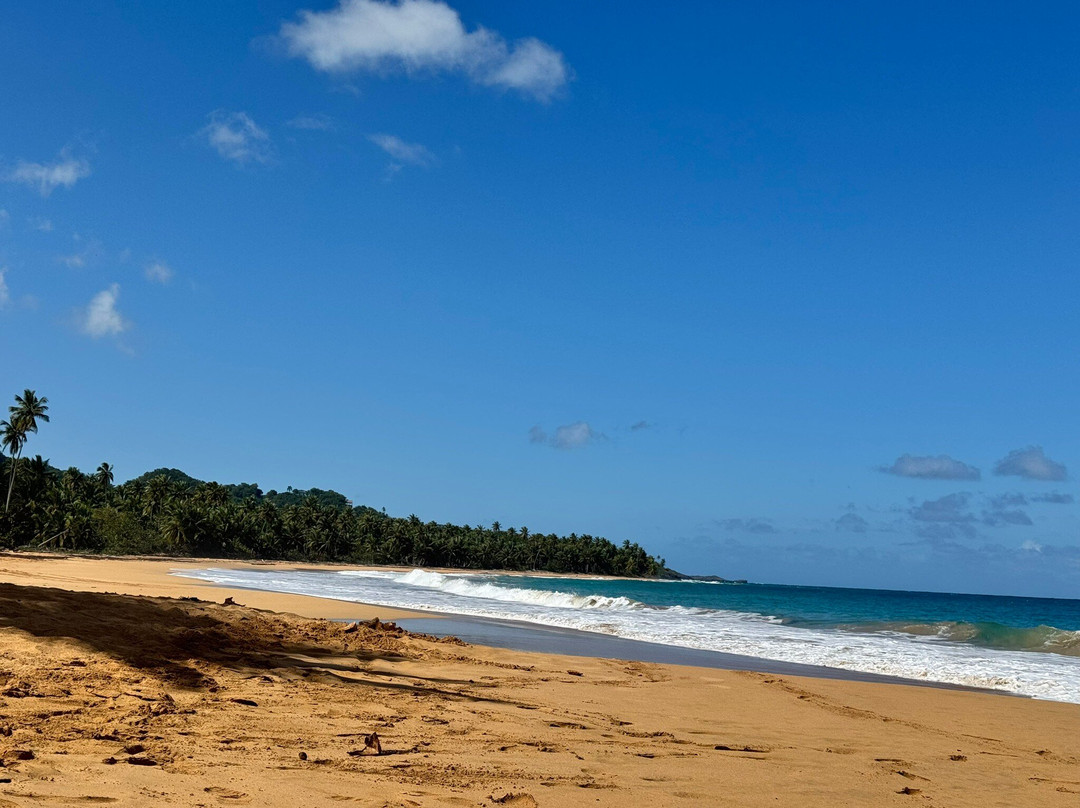 Playa de las Canas-拉斯特拉纳斯必去景点