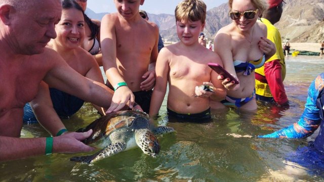 美丽华阿尔阿卡海滩度假村 - 富查伊拉-官方