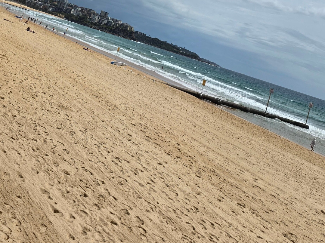 Little Manly Beach-曼利议会必去景点