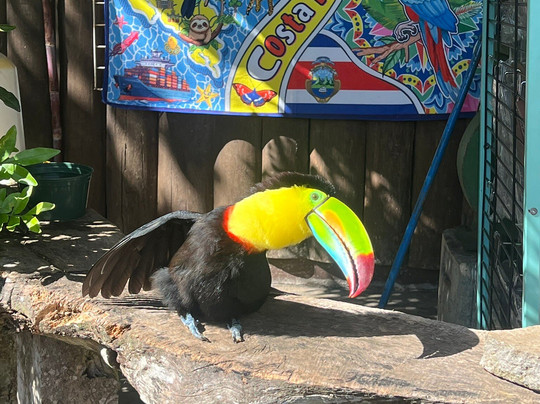 ILT Costa Rica-圣何塞必去景点