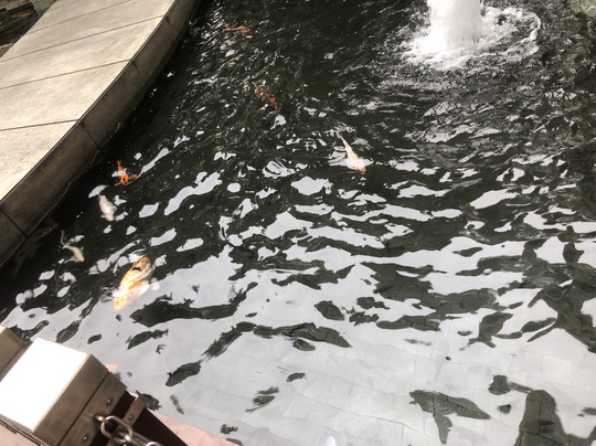 深圳国际会展中心洲际酒店主图