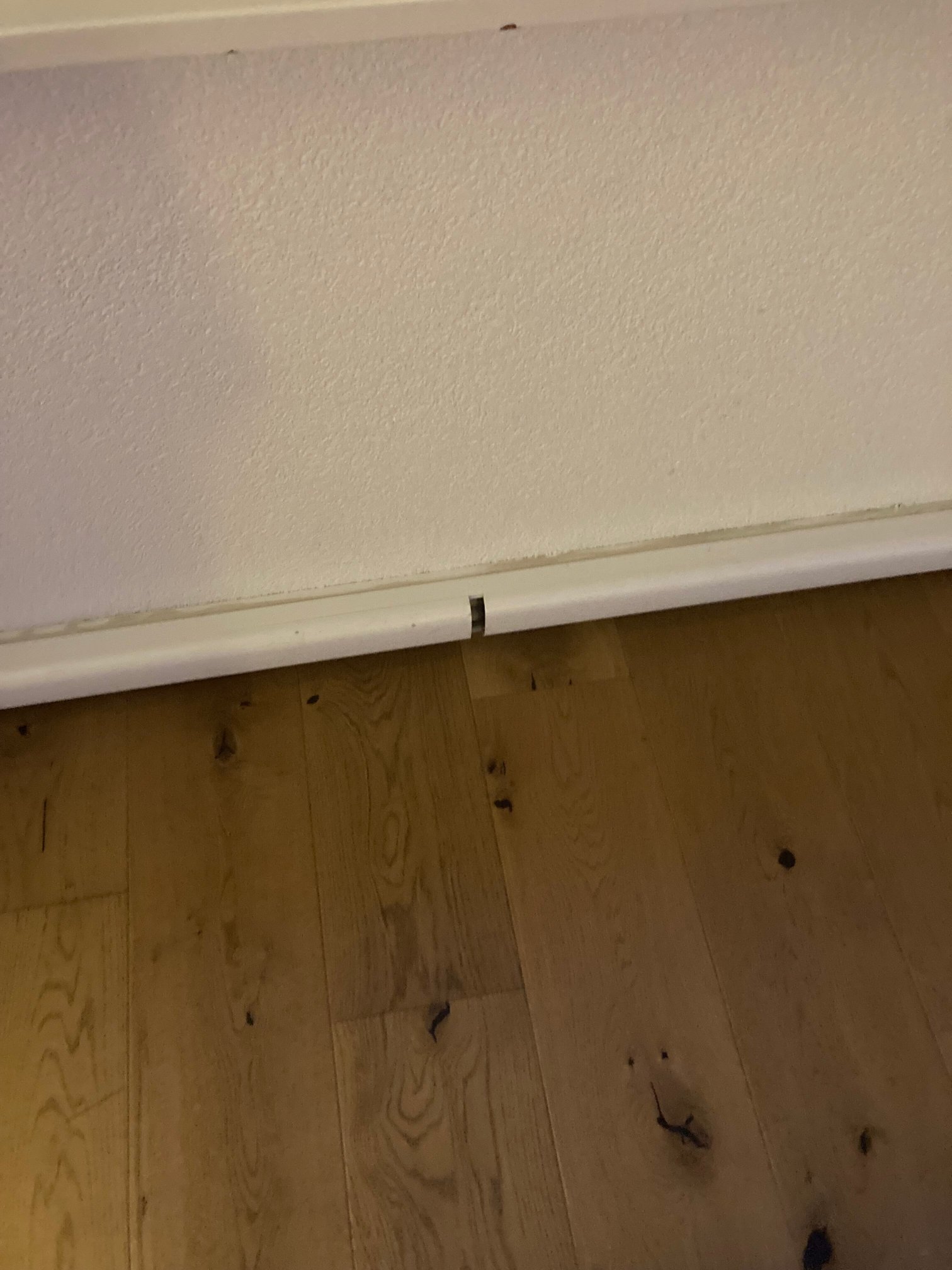 贝斯特韦斯特里埃维拉欧洲酒店-官方