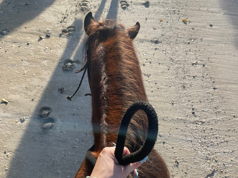 Jurutungo Farm-Florida必去景点