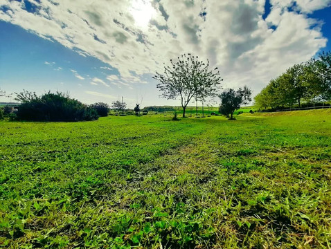 Agriturismo Selvapiana