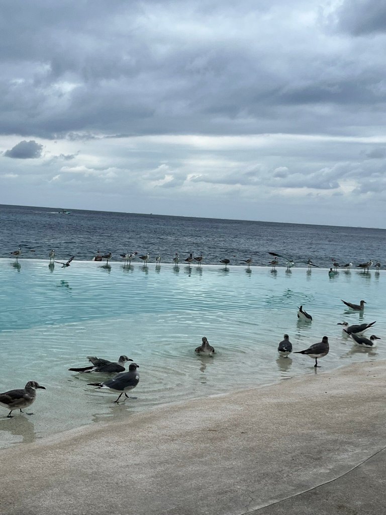 Grand Park Royal Cozumel-官方