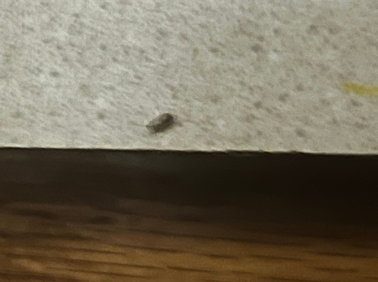 Extended Stay America Select Suites - Kalamazoo - West主图