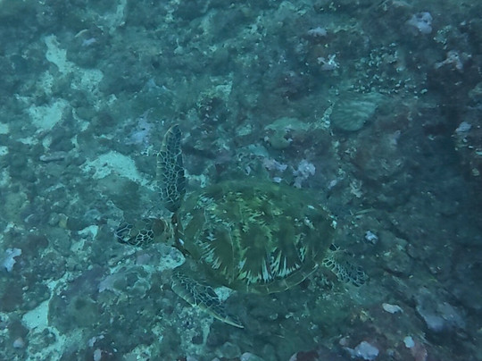 Hydro Sports-辛加东卡必去景点