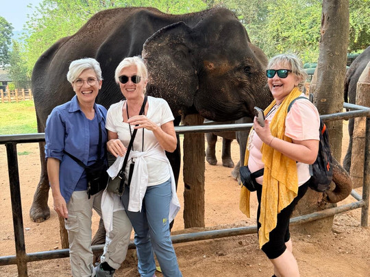 Amaya Tours-尼甘布必去景点