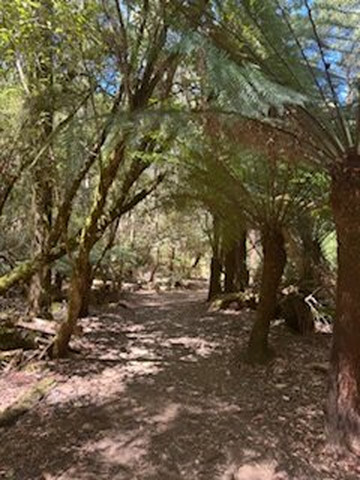 Horseshoe Falls-费尔德山国家公园必去景点