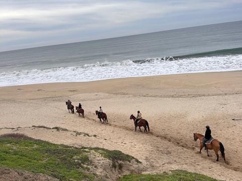 Sea Horse Ranch-半月湾必去景点