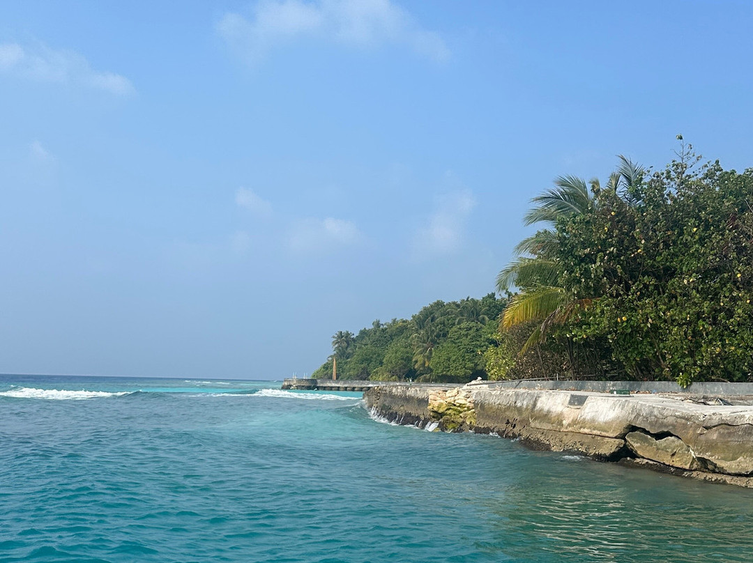SHADOWPALM TOURS-马富士岛必去景点