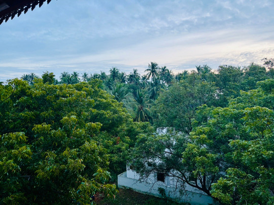 Indian Residency主图